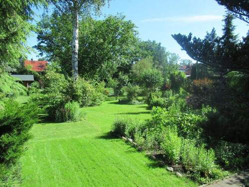 Blick in den großen Garten - 