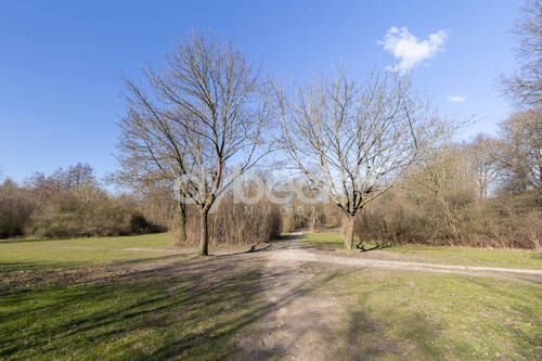 Iydillisches Umfeld - 