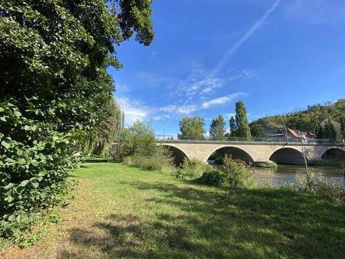 großzügiger Garten - 