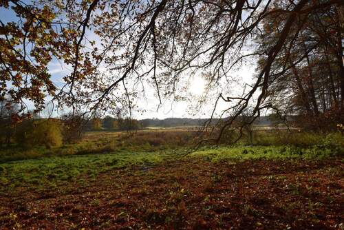 Billetal.jpg - Grundstück in Trittau