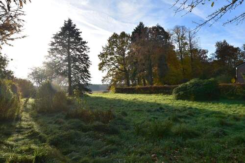 Baugrundstück.jpg - 