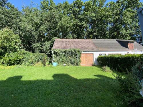 Blick in den Garten - 