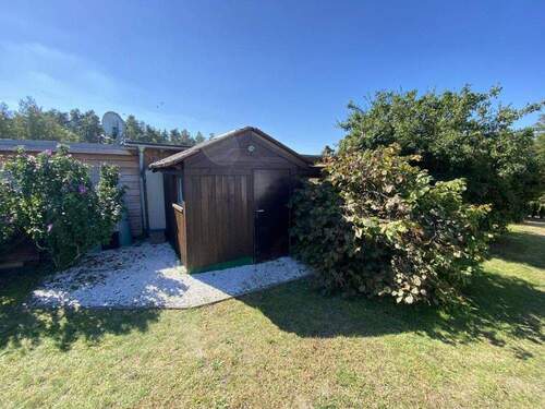 Schuppen - 