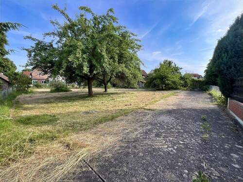 Möglicher Bauplatz mit altem Obstbaumbestand - 