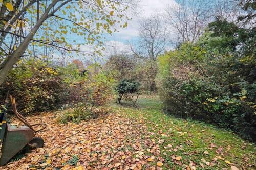 Gartenfläche - 