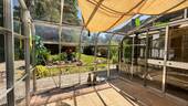 Wintergarten - 