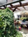Bild 14 - 