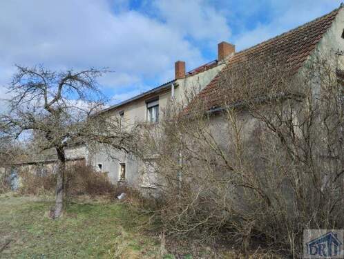 Rückseite mit Hühnerstall - 