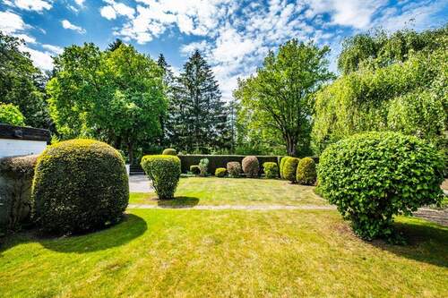 Blick in den Garten - 