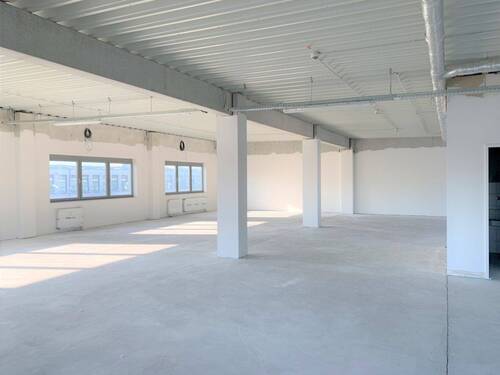 Fensterfront-Hindenburgstr(1) - 