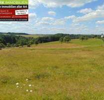 Grundstück in guter Lage und mit fantastischer Aussicht. - Hontheim Krinkhof