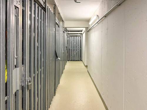 Gepflegter Keller - 