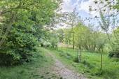 Weg zur Wiese am Biotop - 
