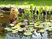 Der Gartenteich - 6 Zimmer Einfamilienhaus in Elpersbüttel