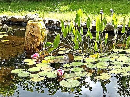 Der Gartenteich - 6 Zimmer Einfamilienhaus in Elpersbüttel