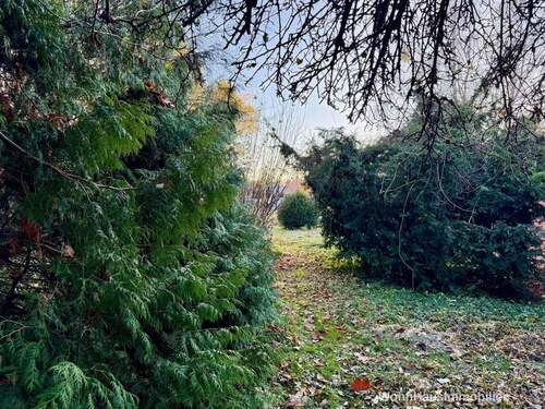 Zugang nach hinten - 