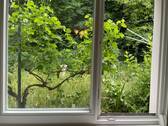 Blick ins Grüne.jpg - 5 Zimmer Einfamilienhaus in Offenburg