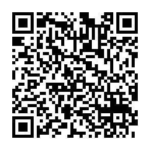 QR-Code - 