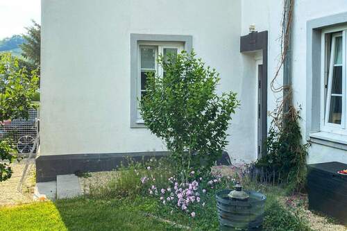 Garten im Sommer 2025 - 