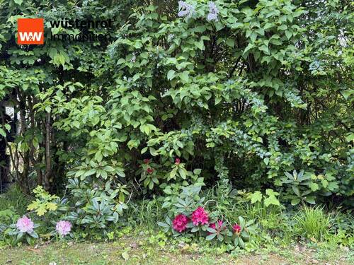 Impression Garten - 