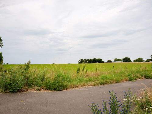 Bild 15 - 