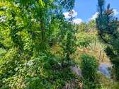 Teich - 