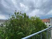 IMG_8066.jpeg - 