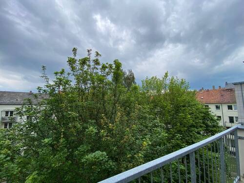 IMG_8066.jpeg - 