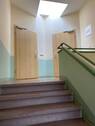IMG_8057.jpeg - 
