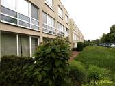 Außenanlage - 