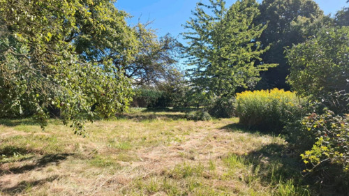 8f62b569-5b38-4b59-acc0-8768a5032fa5 - 