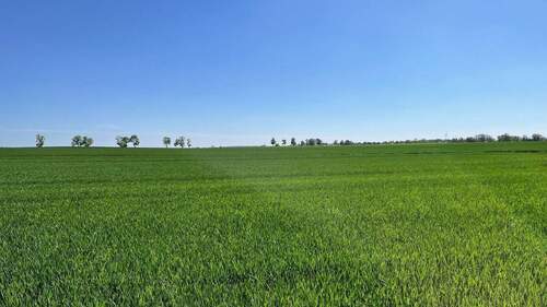 Blick hinter dem Haus - 