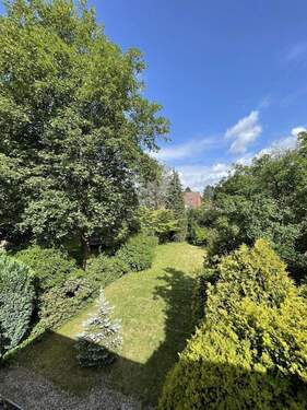 Grundstücksbereich (Hinten) - 