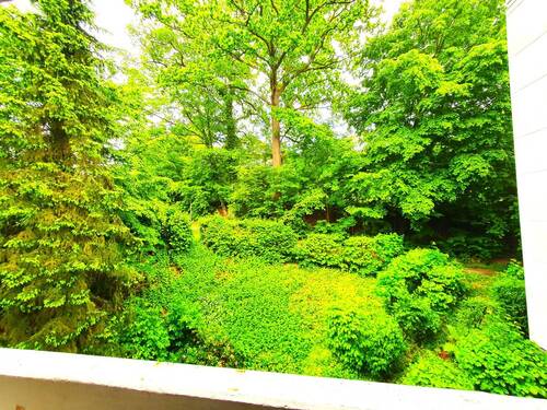Blick vom Balkon - 