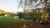 DSC_4122.jpg - 