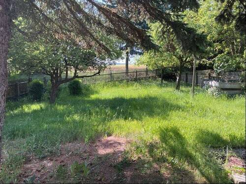 Garten - 