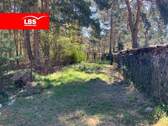 Bild 1 - Baugrundstück am Wald - nahe kleinem Müggelsee