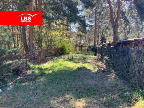 Bild 1 - Baugrundstück am Wald - nahe kleinem Müggelsee