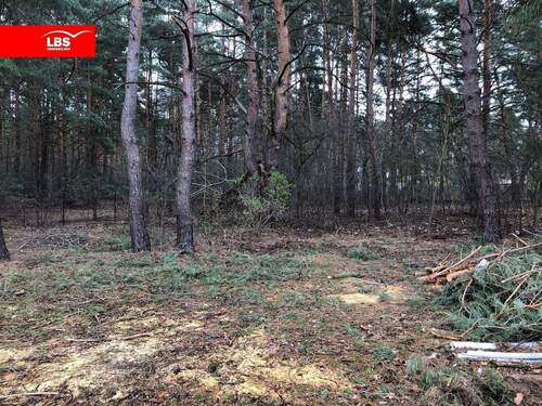 Bild 3 - Grundstück in Berlin