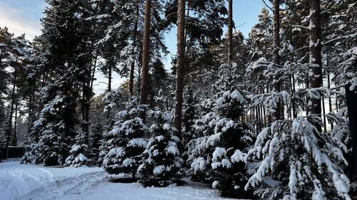 Blick auf beide Häuser - 