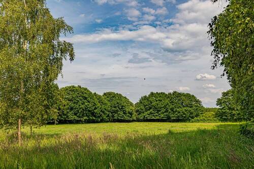 Hauskoppel - 