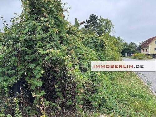 Mailing Bild 1.jpg - 