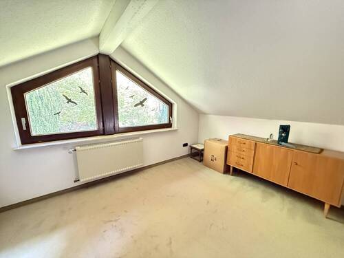 Zimmer DG - 