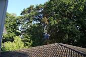 Blick über Anbau - 