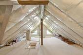 Dachspitz - 