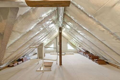 Dachspitz - 