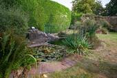 Gartenteich - 