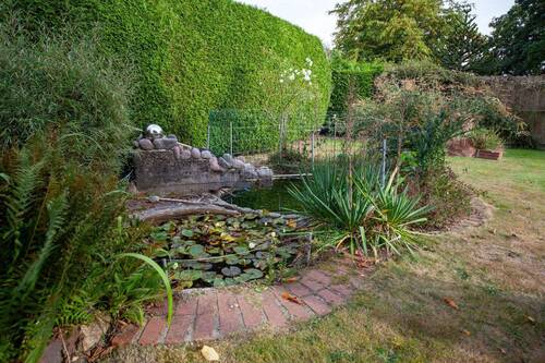 Gartenteich - 