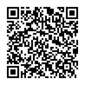 QR-Code - 