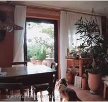 Schöner Wohnen - Einziehen, Wohlfühlen! - 